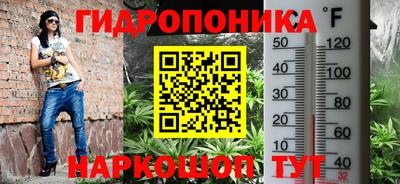 ГАЛЛЮЦИНОГЕННЫЕ ГРИБЫ Аргун
