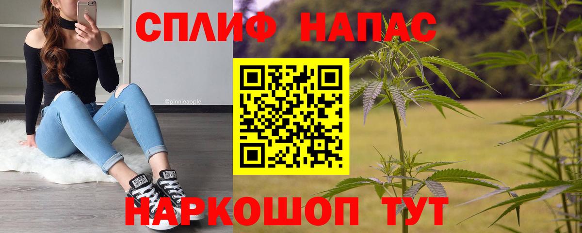 Конопля MAZAR Верхняя Пышма